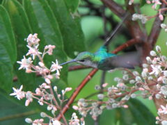 FriedensStifter - der Weg zum Hüter der Erde - Mai