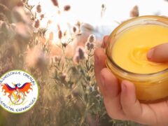 Erlebnistag - Wundheilsalbe aus Wildpflanzen (Eltern-Kind-Kurs)