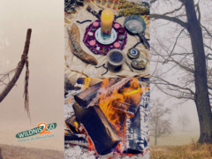 Wildniscamp am Riedlhof – Rauhnächte & Räucherworkshop