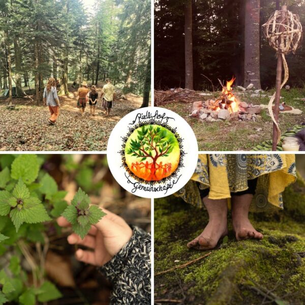 Wildniscamp am Riedlhof – Vier Module – Bild 4
