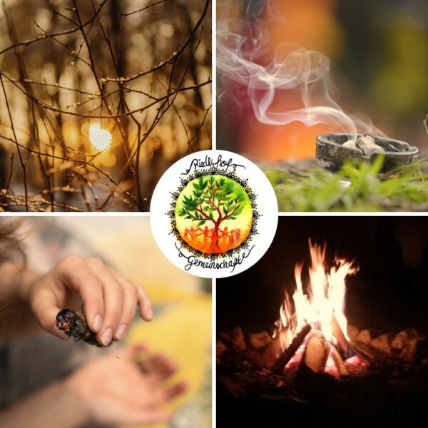 Wildniscamp am Riedlhof – Vier Module – Bild 2