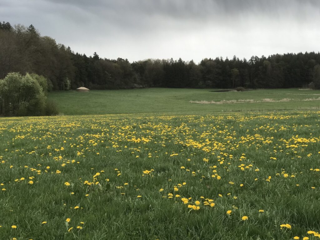 Camp in Krut